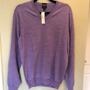 JCrew Merino Wool V Neck Sweater